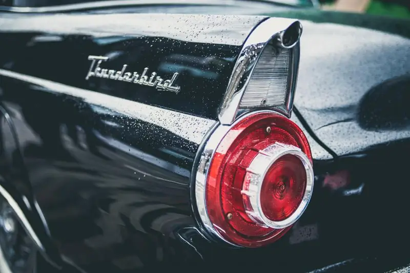 Water droplets on the tail fin of a black classic